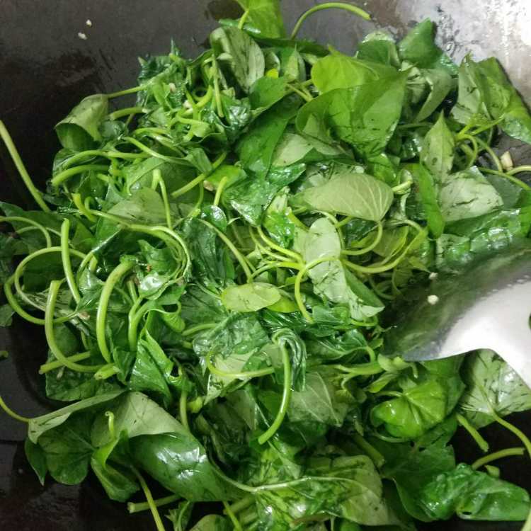 蒜蓉炒红薯叶步骤7
