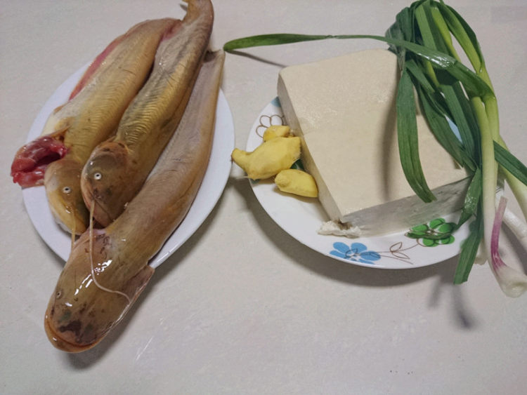 江鲶炖豆腐步骤1
