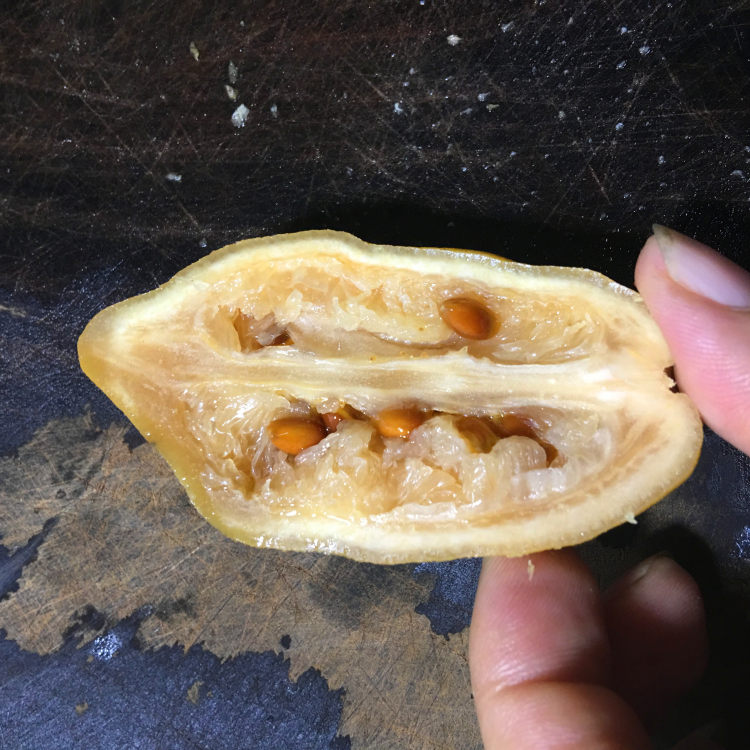 高峰柠檬鸭步骤5