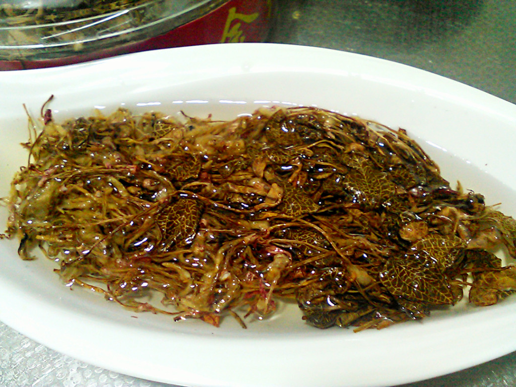 金线莲鸽子汤步骤2