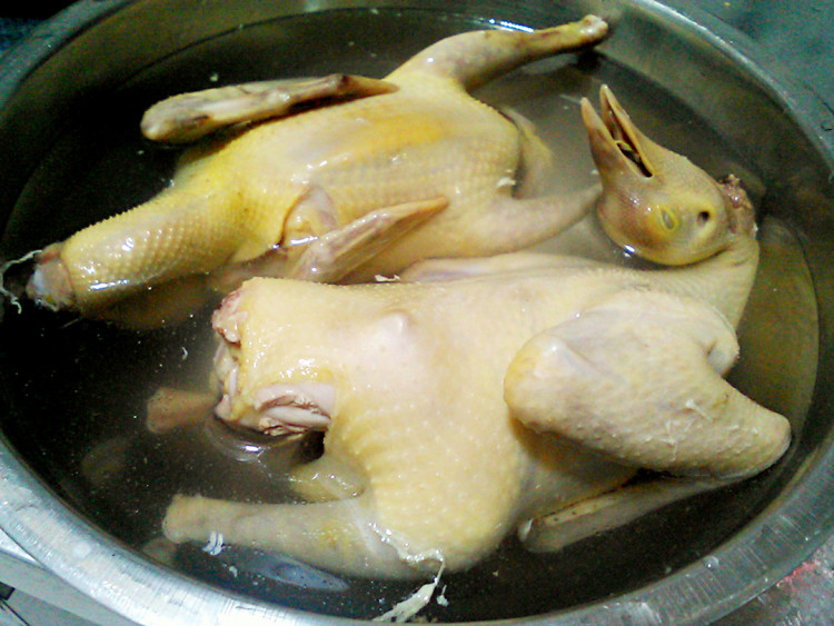金线莲鸽子汤步骤6