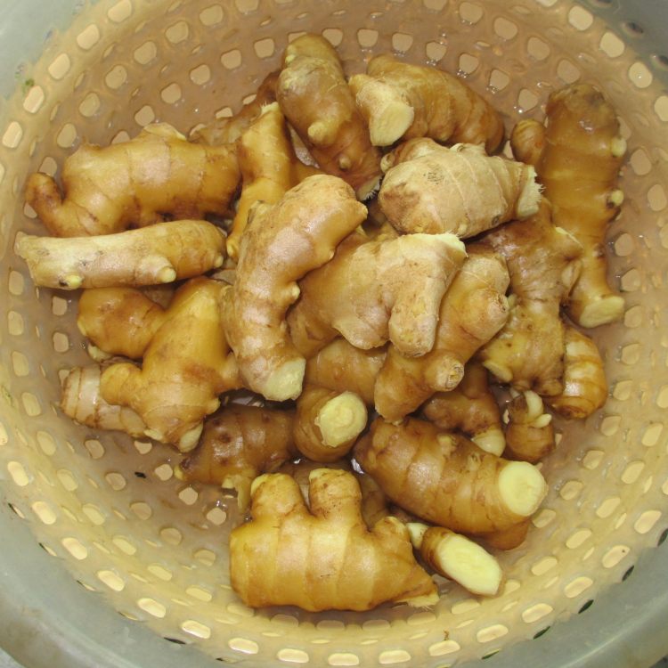 红枣姜糖茶步骤1