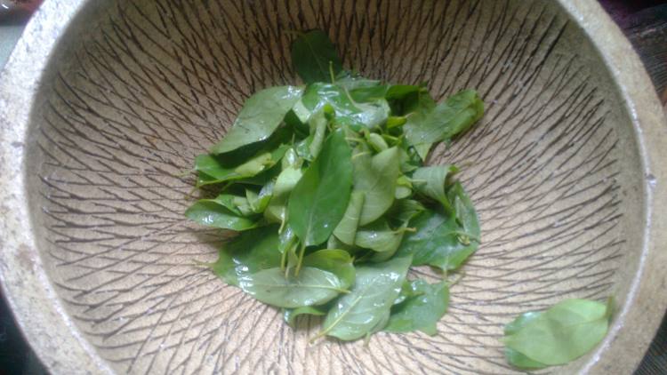 鸡屎藤米糕步骤3