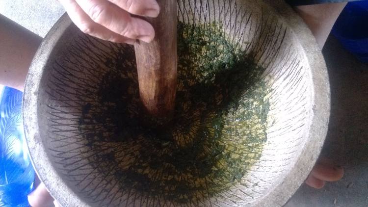 鸡屎藤米糕步骤4
