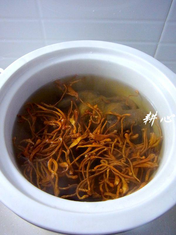 金虫草炖山鸟步骤4