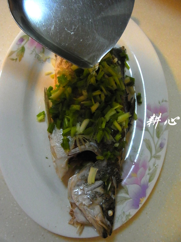 清蒸金刁鱼步骤6