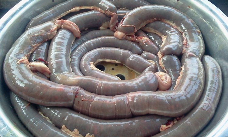 蒸糯米花生肉血肠步骤15