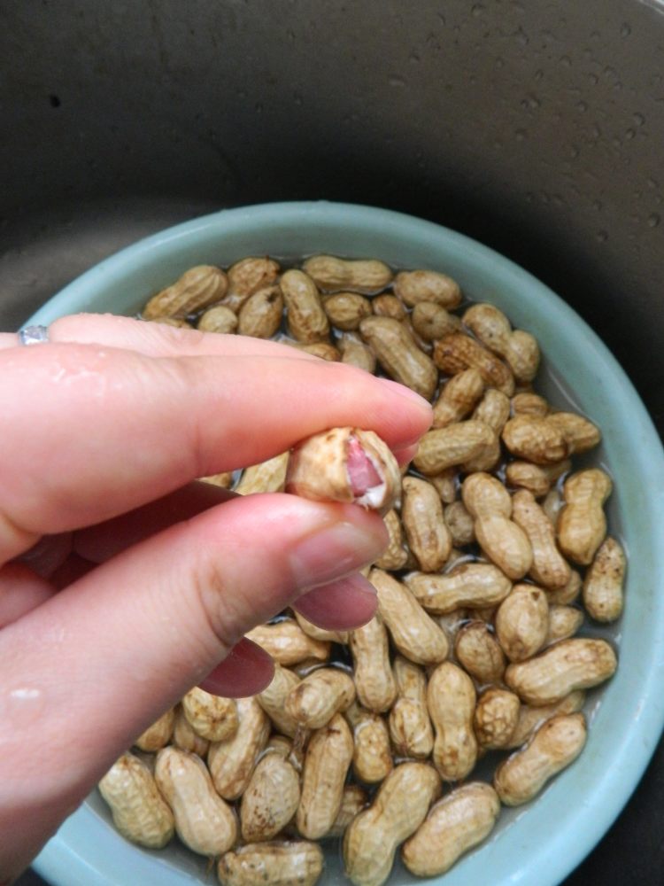 茶香煮花生步骤2