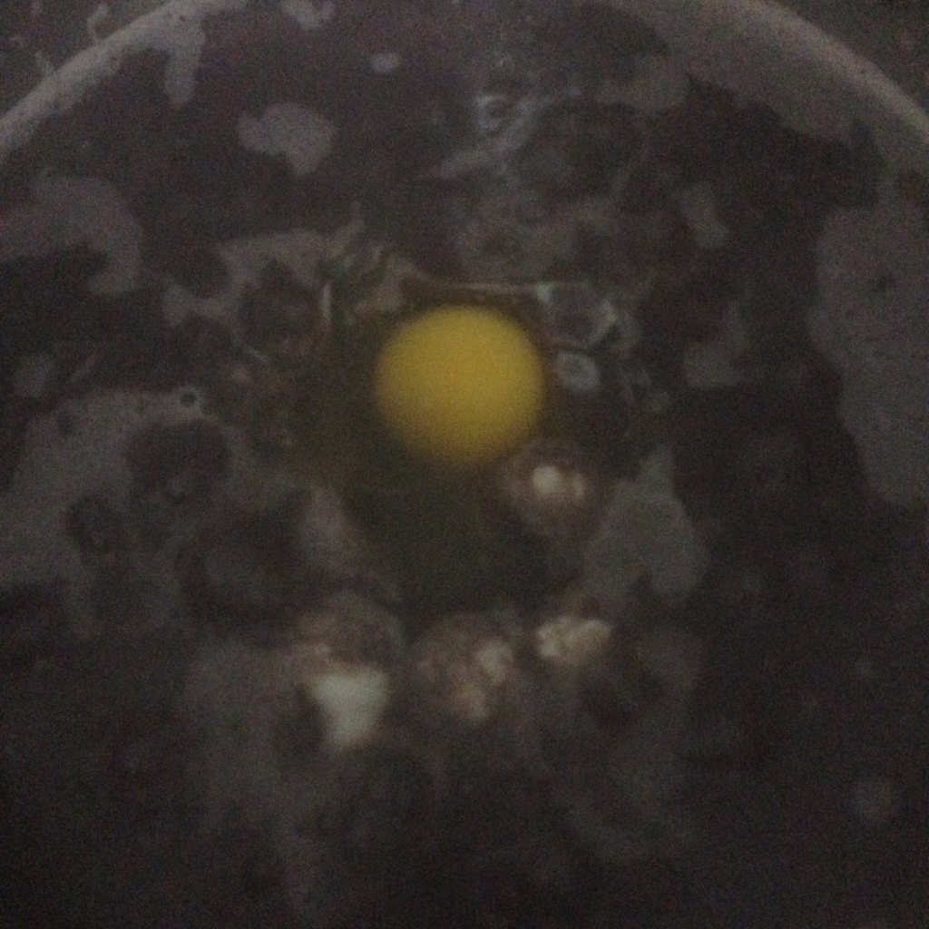 窝蛋红豆沙糖水步骤5