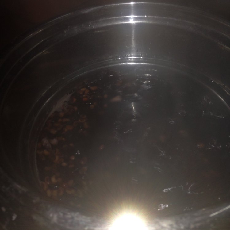 当归红豆鹌鹑蛋糖水步骤3