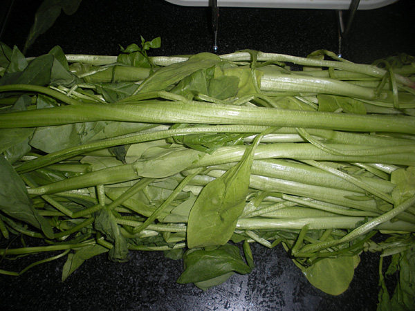 枸杞清炒菠菜梗步骤1