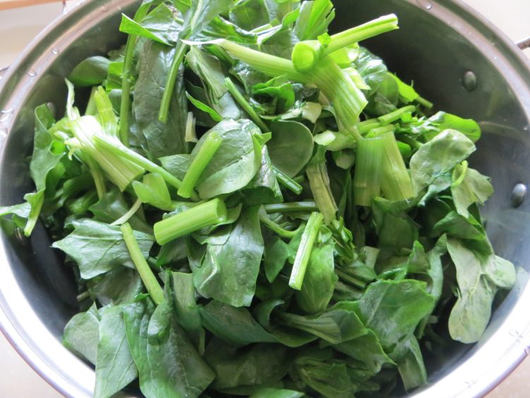 炒菠菜步骤1