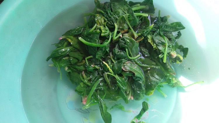 肉末菠菜步骤3