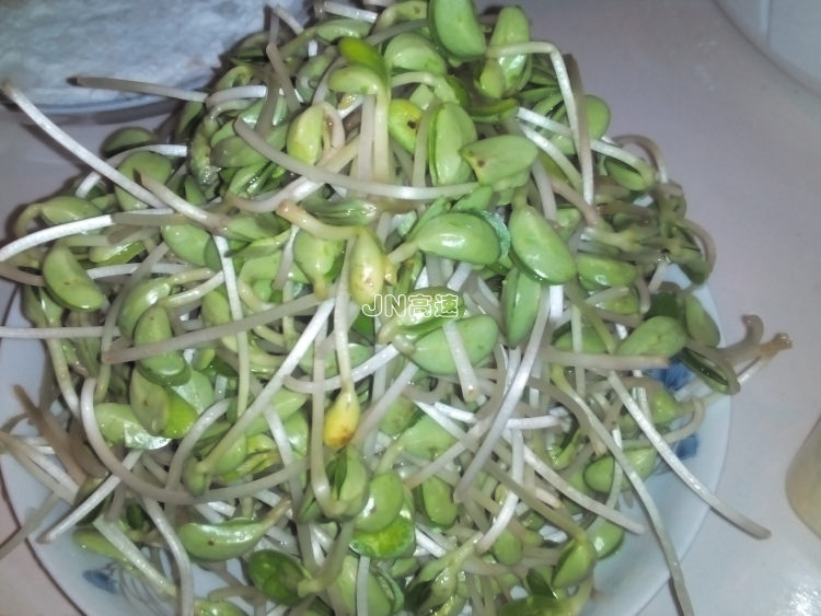 干煸青豆芽步骤1