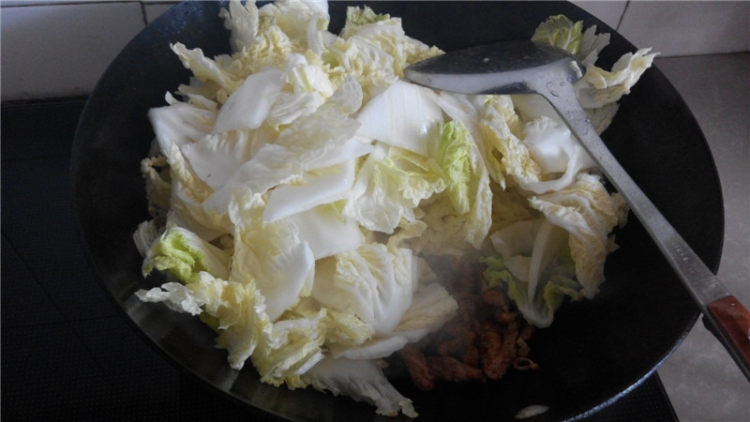 白菜胡萝卜炖冻豆腐步骤7