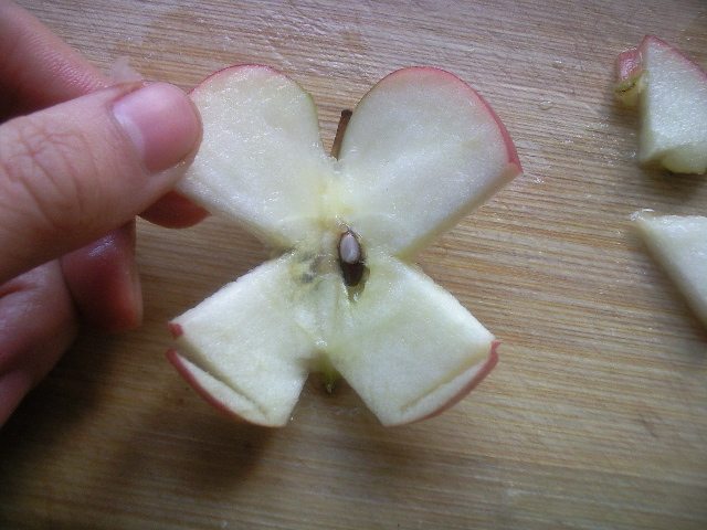 苹果蝴蝶步骤9