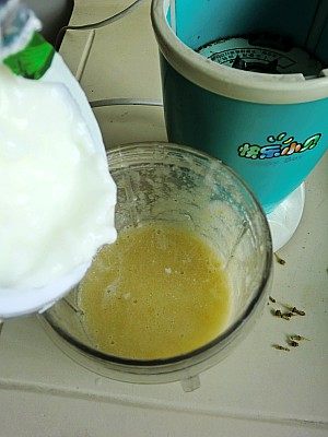哈密瓜葡萄酸奶步骤5