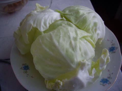 素炒圆白菜步骤1