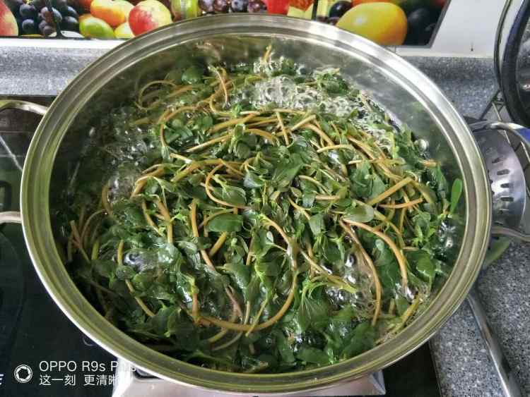 马齿笕野菜包子步骤2
