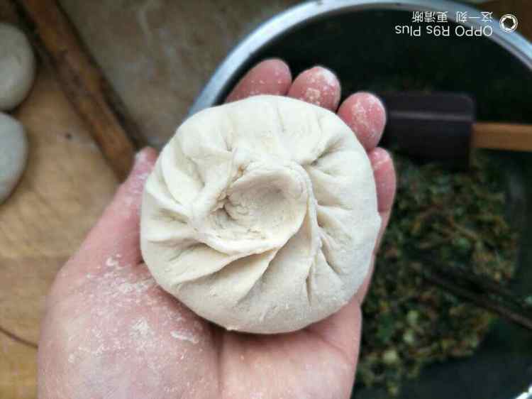 马齿笕野菜包子步骤9