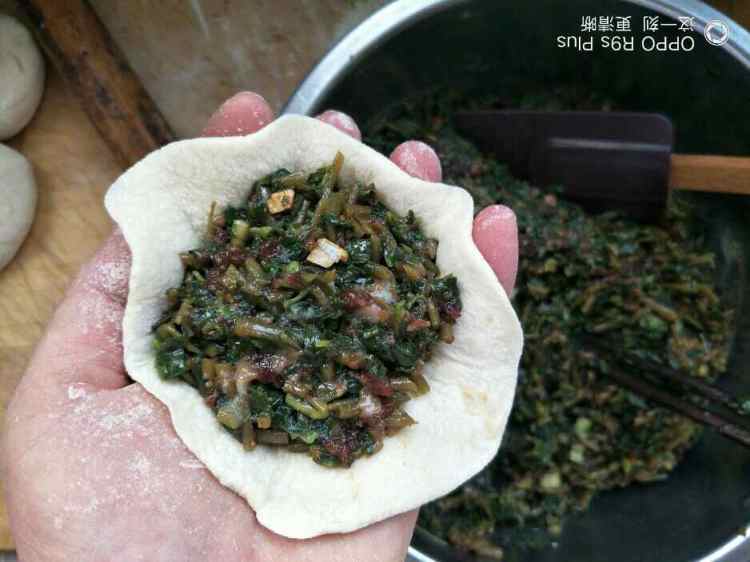 马齿笕野菜包子步骤8