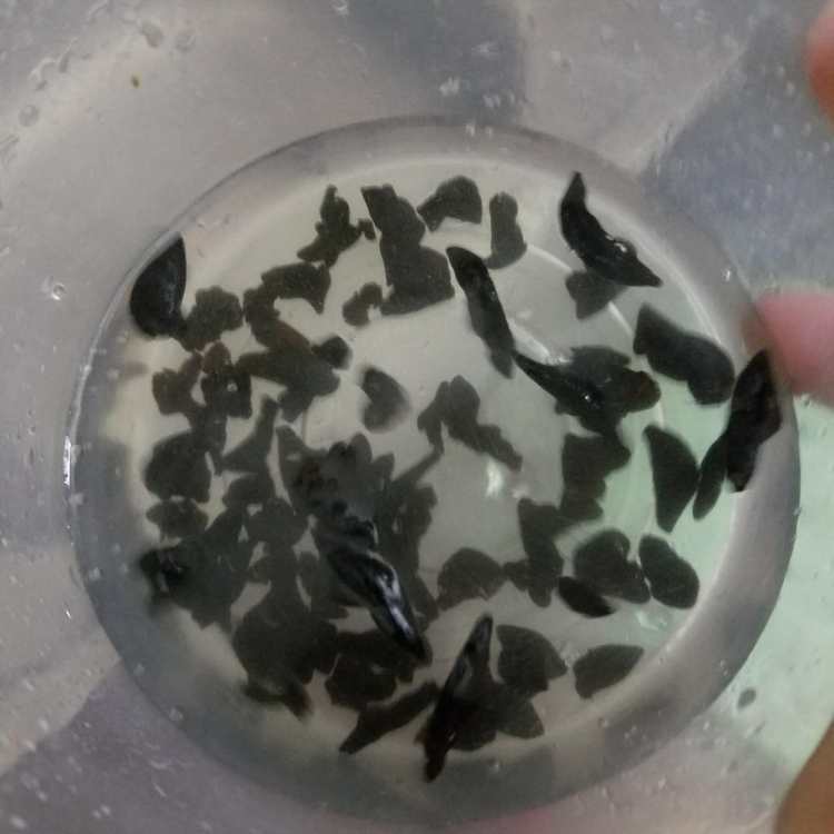 木耳蒸排骨步骤2