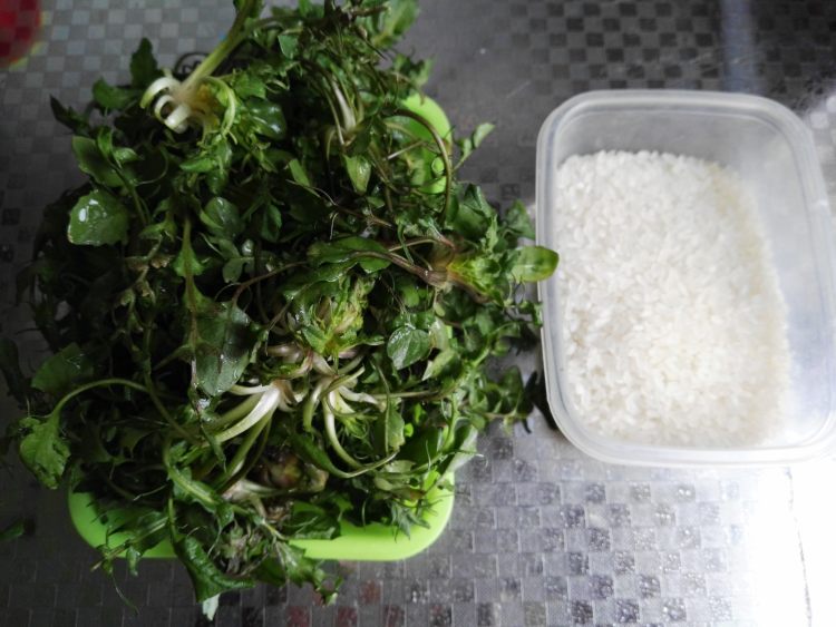 荠菜粥步骤1
