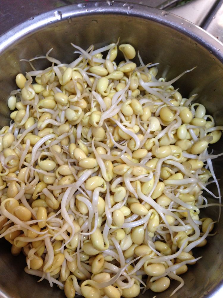 素炒黄豆芽步骤1
