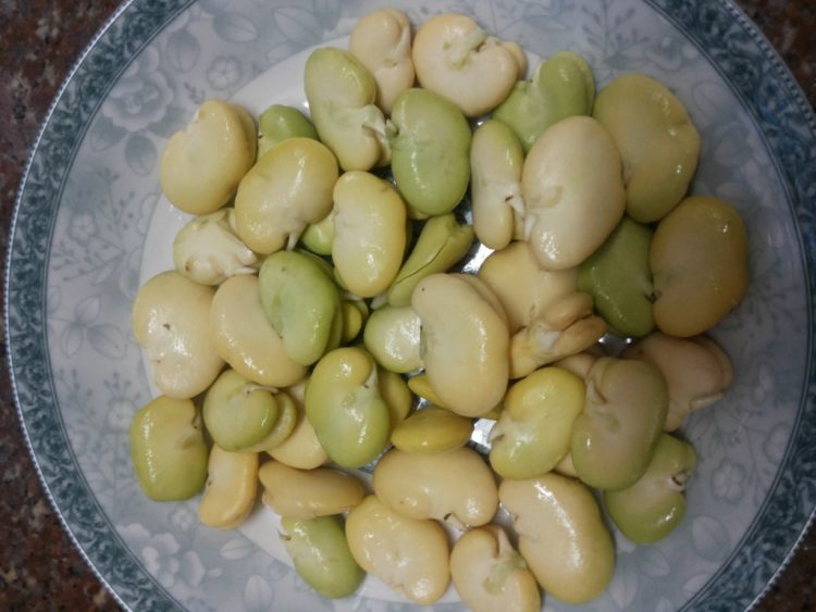 雪菜炒蚕豆白步骤2