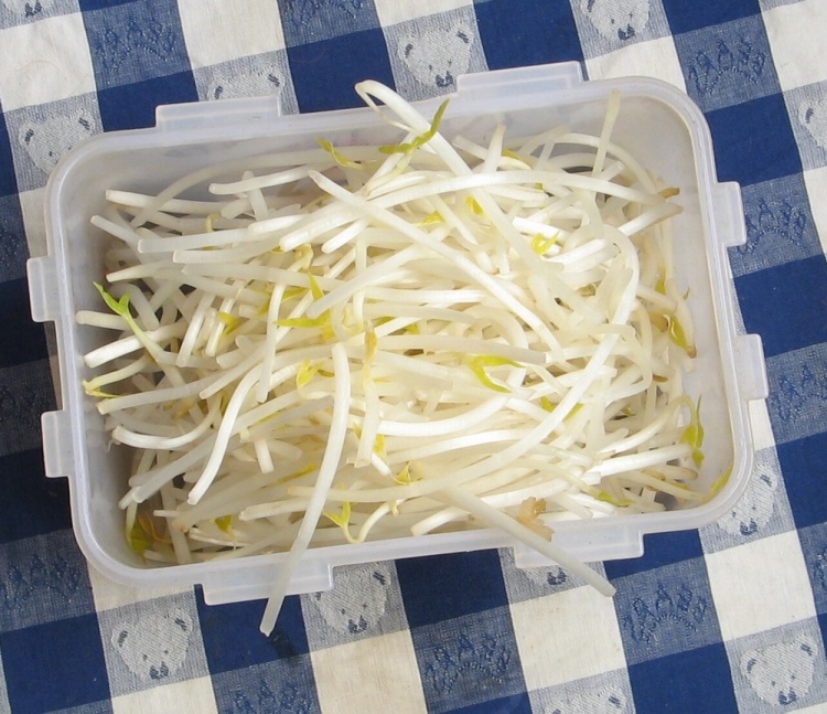 芹菜炒豆芽步骤3