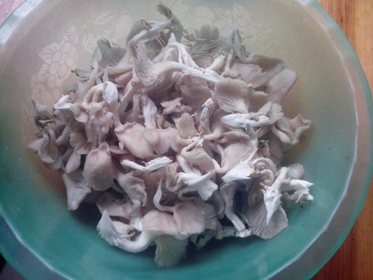 素炒蘑菇步骤2