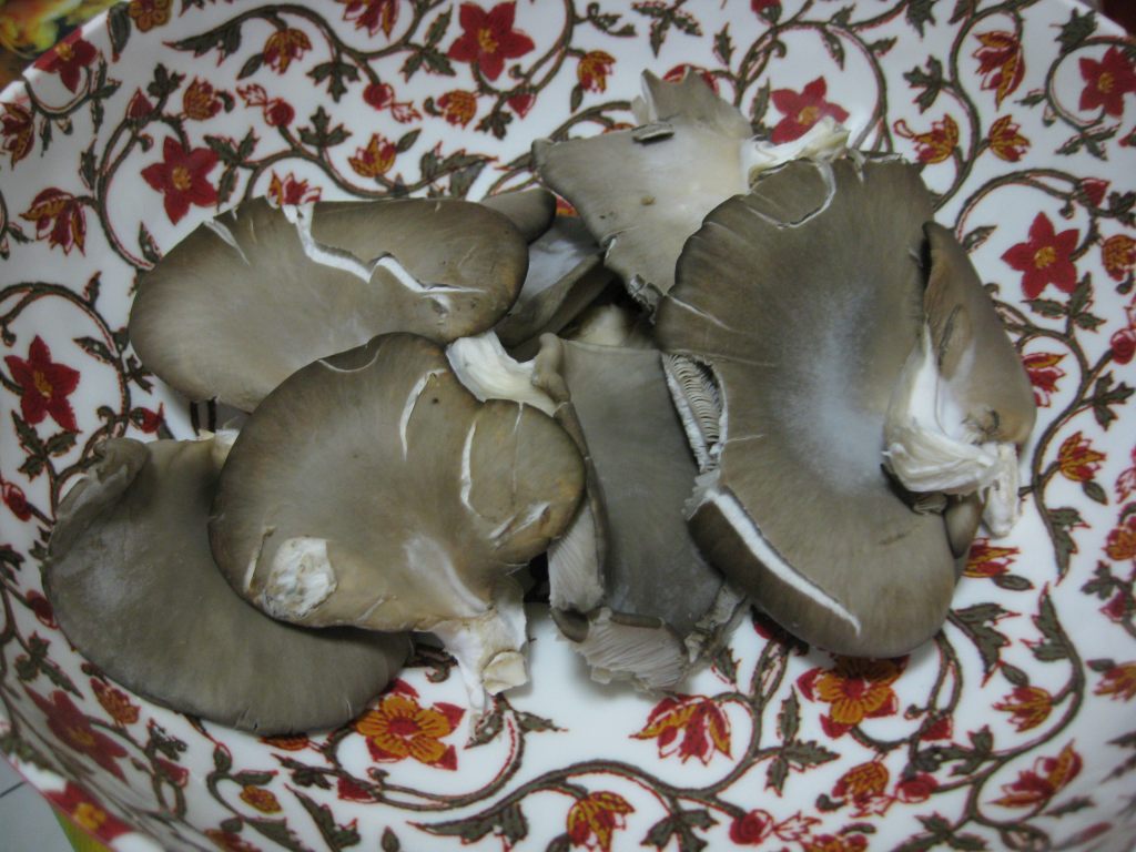 蒜蓉蘑菇步骤1