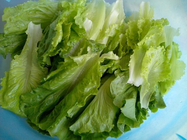 春菜炒香菇步骤2