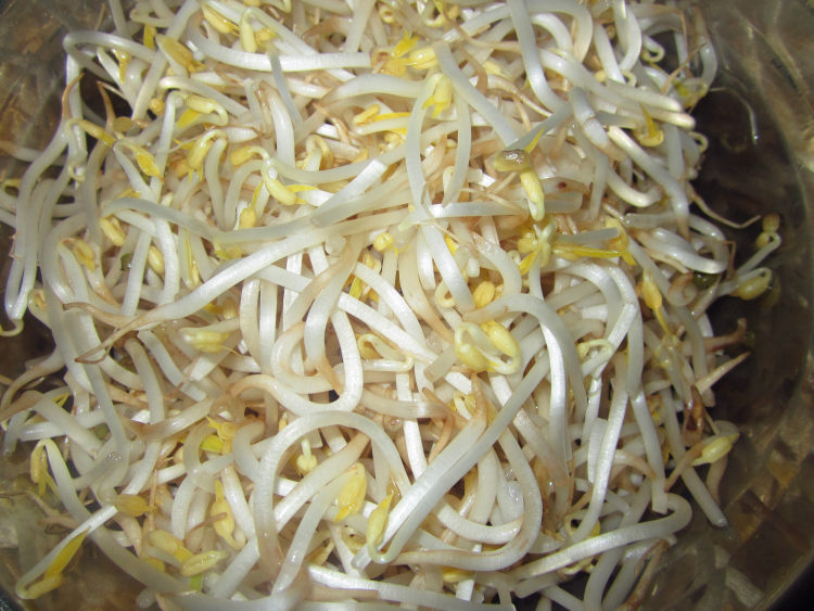 金丝芹银芽肉丝步骤1