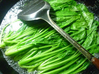 黑木耳拌菠菜步骤4