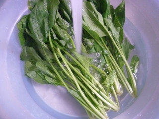 黑木耳拌菠菜步骤2