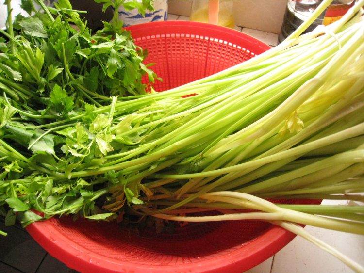 芹菜饺子步骤3
