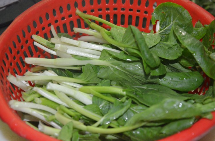 家常炒青菜步骤1