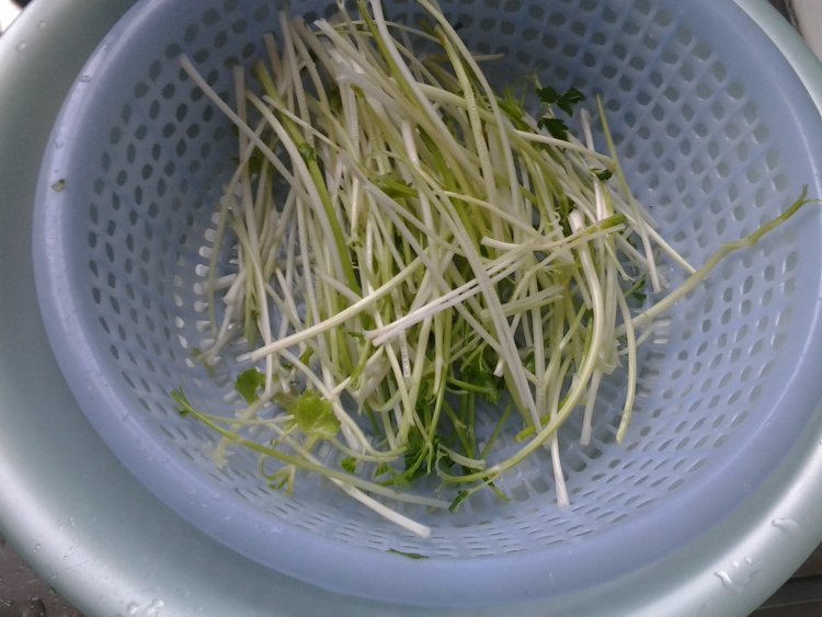 芹菜拌虾米步骤1