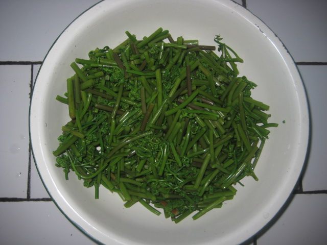 肉丝炒蕨菜步骤1
