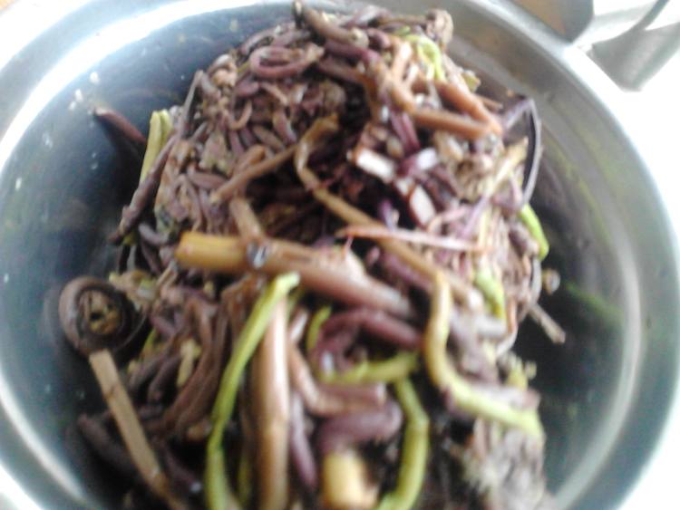 蒜香猴腿菜步骤3