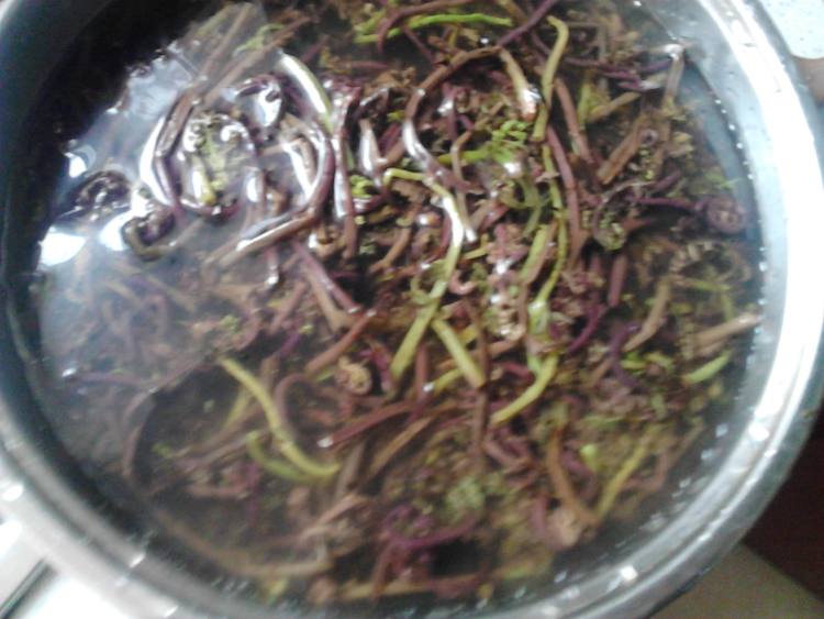 蒜香猴腿菜步骤2