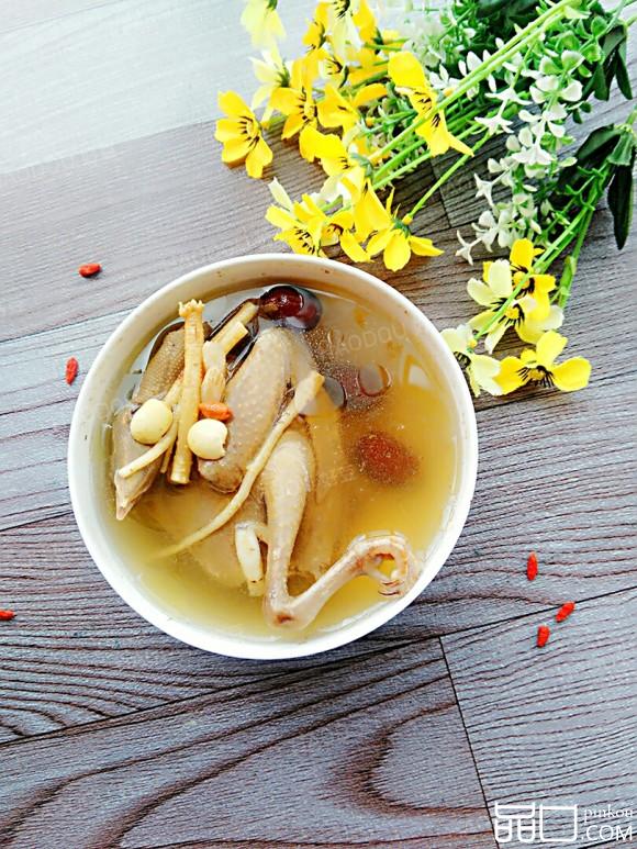 药材蒸鸽子