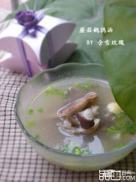 蘑菇鹌鹑汤