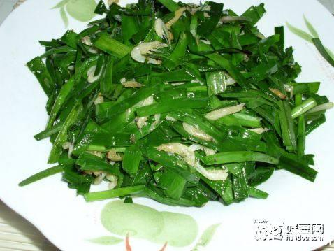 虾皮炒韭菜