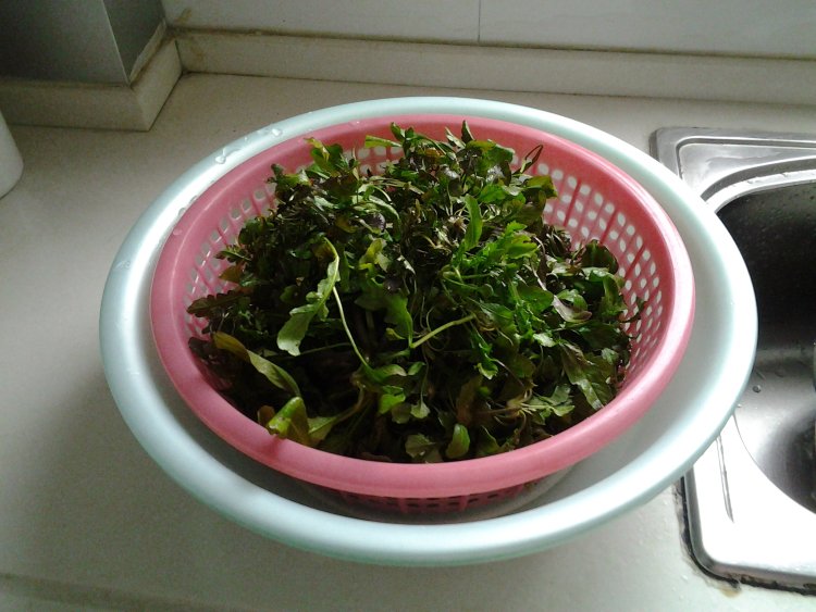 荠菜肉馅步骤1