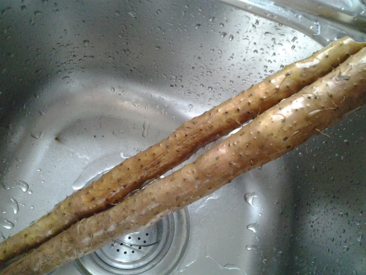 铁棍山药 炒肉片步骤1