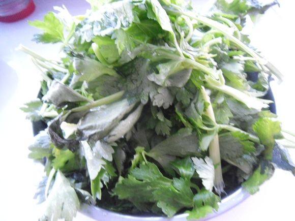 虾皮拌芹菜叶步骤1