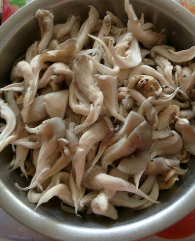 砂锅炖蘑菇步骤1