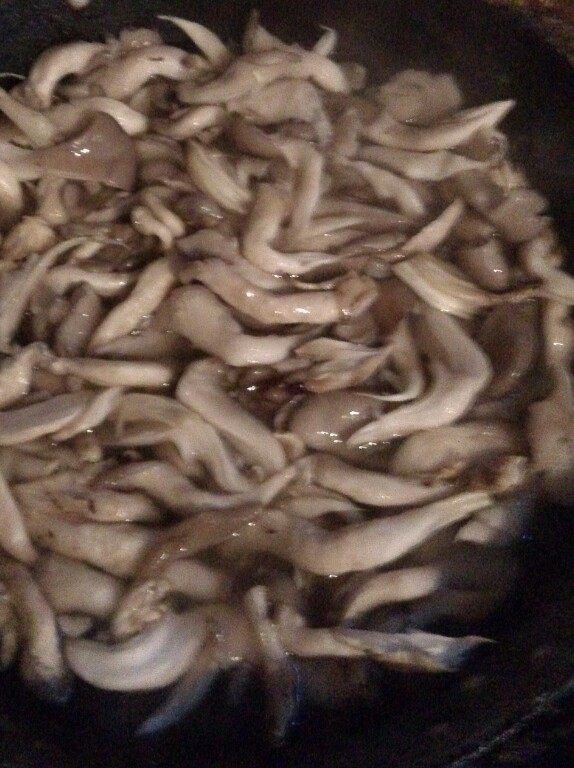 砂锅炖蘑菇步骤4